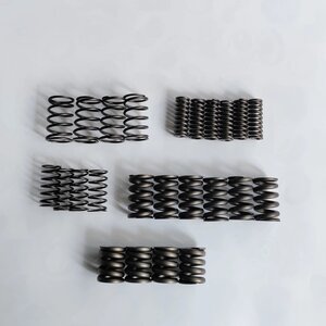 Комплект демпферних пружин зчеплення — Powershift 6DCT450 / MPS6 — OEM: S450100A